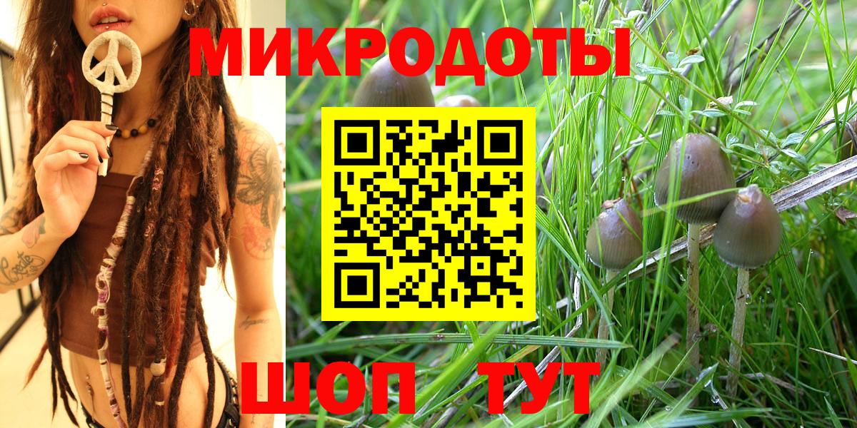 Галлюциногенные грибы мухоморы  Вход с VPN  как найти   Кувандык 